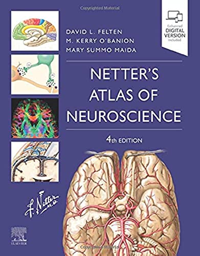 Netter's Atlas of Neuroscience (Netter Basic Science) 4th Edition