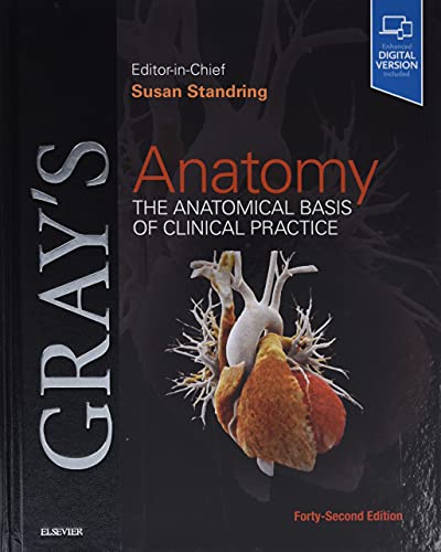 Gray's Anatomy: The Anatomical Basis of Clinical Practice eBook cover