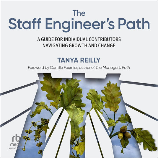 The Staff Engineer's Path: A Guide for Individual Contributors Navigating Growth and Change eBook cover